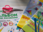 В российских школах хотят отменить оценки по физкультуре, изобразительному искусству, музыке и труду