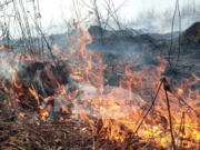 В Рыбинском районе чуть не спалили дом