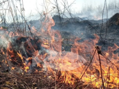 В Рыбинском районе чуть не спалили дом
