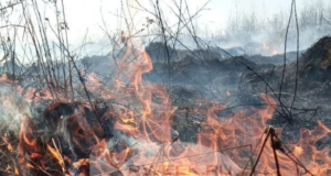 В Рыбинском районе чуть не спалили дом
