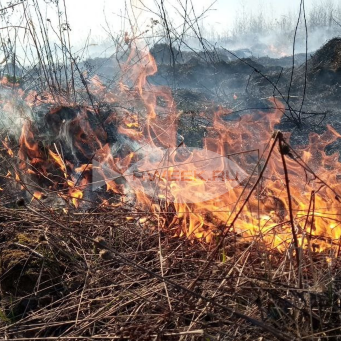 В Рыбинском районе чуть не спалили дом