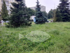 Зарастаем: на покос травы и ремонт МАФов в Рыбинске направят дополнительные силы