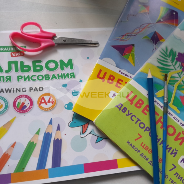 В российских школах хотят отменить оценки по физкультуре, изобразительному искусству, музыке и труду