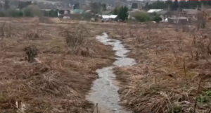 Больше года в Рыбинском районе не решают проблему со зловонной речкой