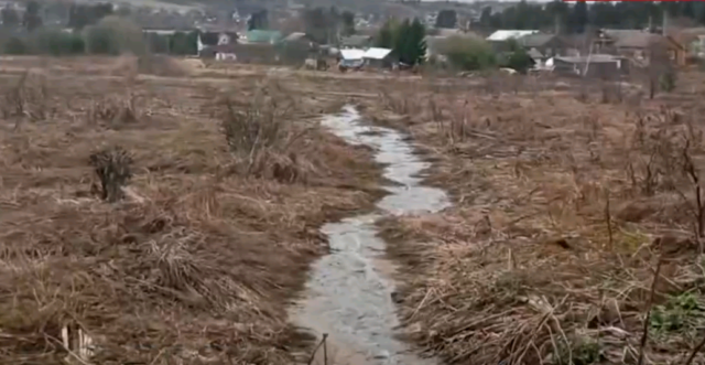 Больше года в Рыбинском районе не решают проблему со зловонной речкой
