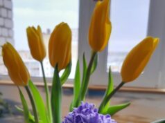 Рыбинцев приглашают присоединиться к акции «Дети вместо цветов»