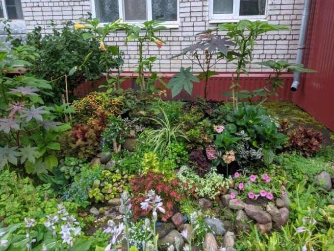 В Рыбинске выбрали самый цветущий двор