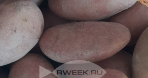 Цены на овощи будут снижаться до середины осени