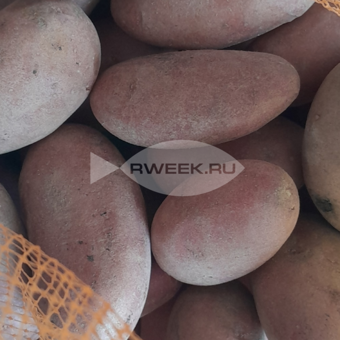 Цены на овощи будут снижаться до середины осени