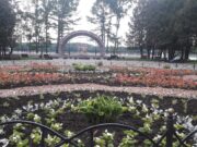 На балюстраде Волжского парка отметят День знаний