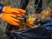 В Рыбинске пройдёт осенний субботник