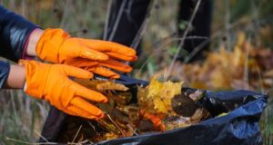 В Рыбинске пройдёт осенний субботник