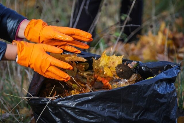 В Рыбинске пройдёт осенний субботник
