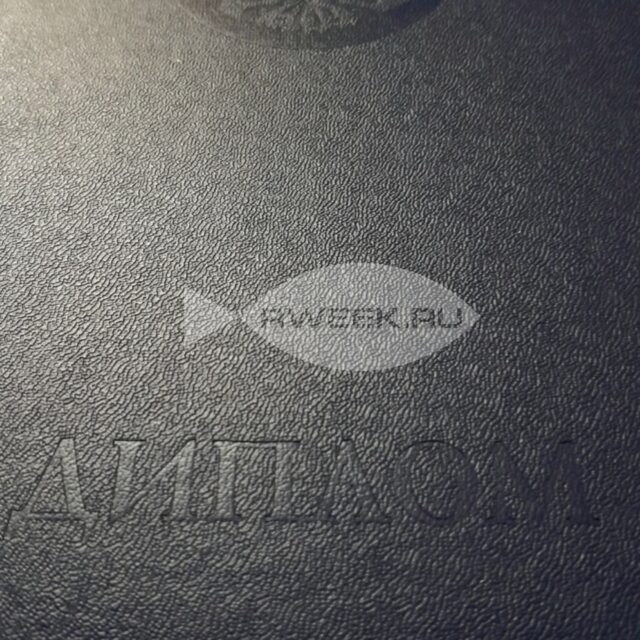 Приёмные дети участников СВО теперь тоже смогут претендовать на льготы при поступлении