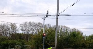 На проспекте генерала Батова обустроили пешеходный переход у нового светофора