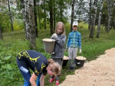 Парк на проспекте Батова стал лучше силами воспитанников СШОР №4
