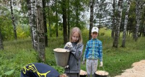 Парк на проспекте Батова стал лучше силами воспитанников СШОР №4