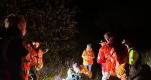 Что делать, если заблудился в лесу