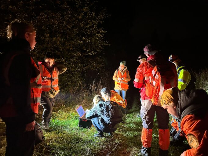 Что делать, если заблудился в лесу