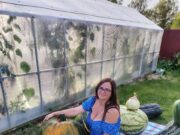 Жительница Рыбинского района вырастила тыкву с рекордным весом