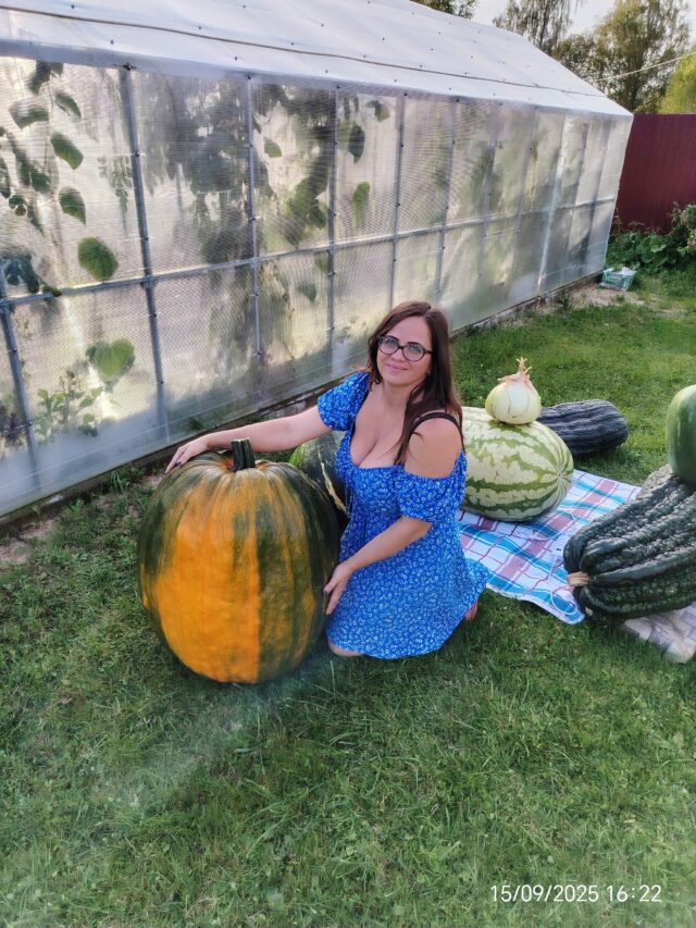 Жительница Рыбинского района вырастила тыкву с рекордным весом
