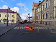 В Рыбинске началась подготовка к созданию пешеходного центра