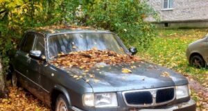 Припарковался на газоне-получил 5000 рублей штрафа