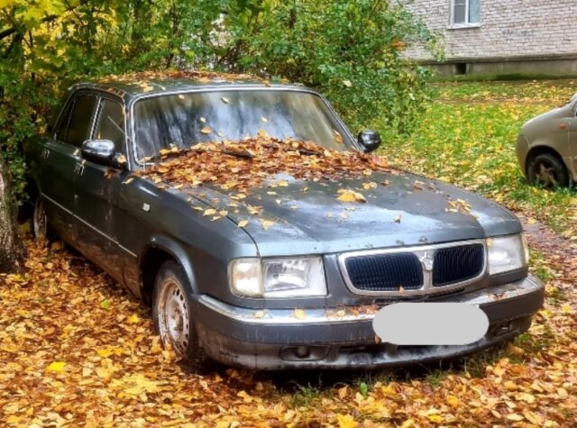 Припарковался на газоне-получил 5000 рублей штрафа