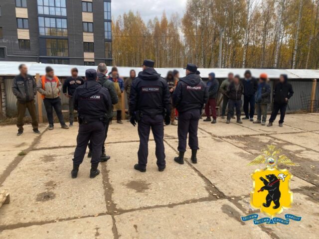 Операция «Нелегал-2025» в Ярославской области: сколько мигрантов отправились домой