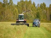 В Ярославской области увеличился валовой сбор зерновых