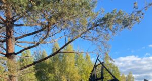 В Рыбинском округе сгорел дачный дом