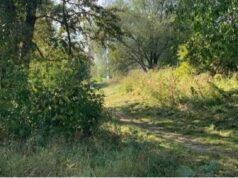 На благоустройство парка за школой №5 начали поиск подрядчика