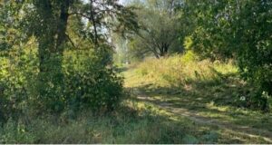 На благоустройство парка за школой №5 начали поиск подрядчика