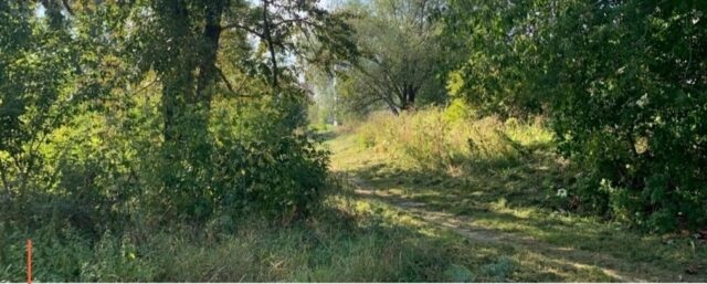 На благоустройство парка за школой №5 начали поиск подрядчика