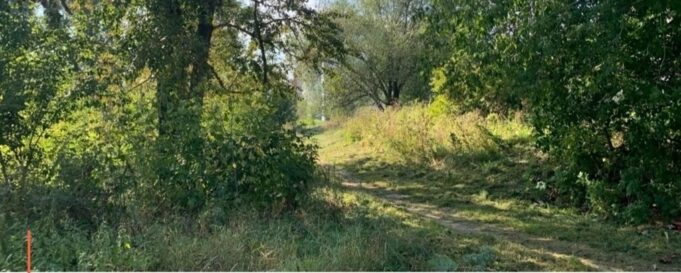 На благоустройство парка за школой №5 начали поиск подрядчика