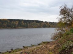 В Песочном обустроят зону отдыха