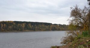 В Песочном обустроят зону отдыха