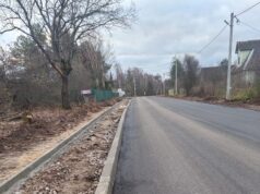 Знаменитую булыжную дорогу в деревне Каботово ремонтируют