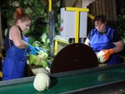 Третий агроагрегатор в Ярославской области начал сотрудничество с торговыми сетями