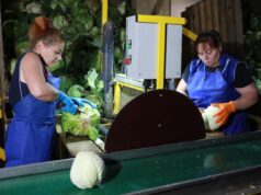 Третий агроагрегатор в Ярославской области начал сотрудничество с торговыми сетями