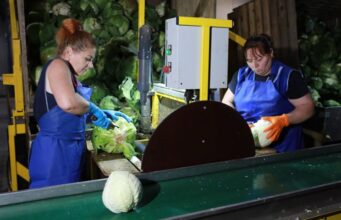 Третий агроагрегатор в Ярославской области начал сотрудничество с торговыми сетями