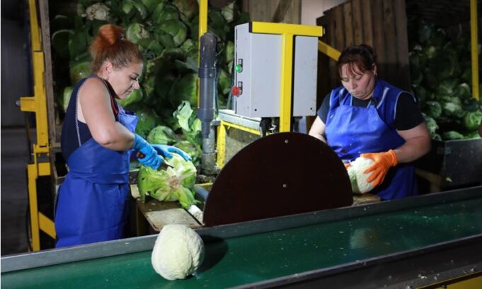 Третий агроагрегатор в Ярославской области начал сотрудничество с торговыми сетями