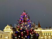 В Рыбинске продолжают искать самые красивые ели для украшения города