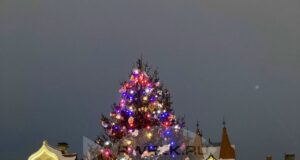 В Рыбинске продолжают искать самые красивые ели для украшения города