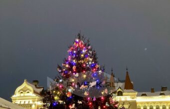 В Рыбинске продолжают искать самые красивые ели для украшения города