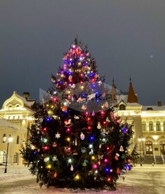 В Рыбинске продолжают искать самые красивые ели для украшения города