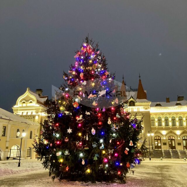 В Рыбинске продолжают искать самые красивые ели для украшения города