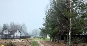 В деревнях Петраково и Скорода Ярославской области подключены к газу первые домовладения