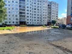 Ситуация по дворам в Рыбинске сложилась критическая