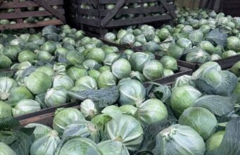 Уборочная кампания в Ярославской области порадовала хорошими результатами